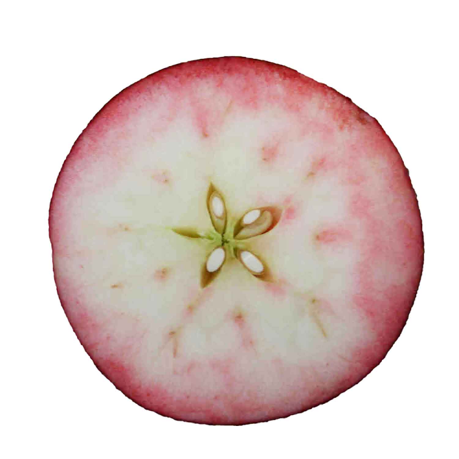 Vesterhavsmost apple must Rosette 0.75L