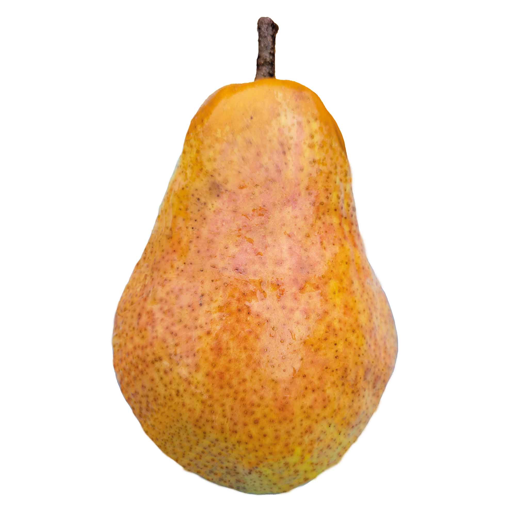 Williams pære most 0,75L